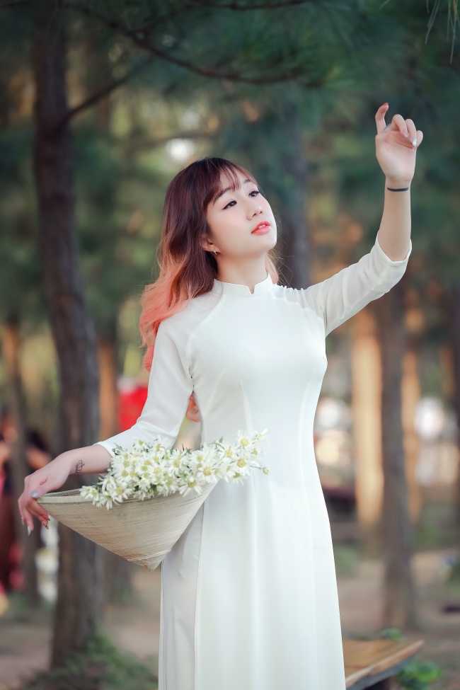 动漫直播